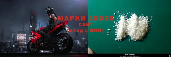 стаф Новозыбков