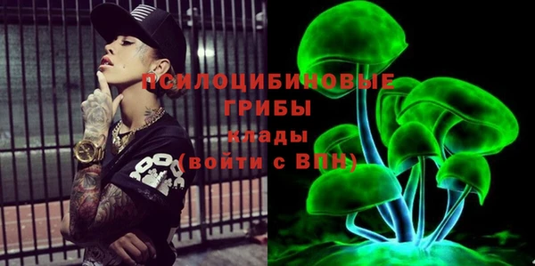 меф Новодвинск